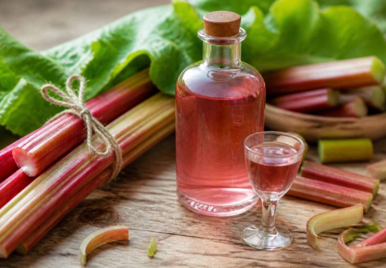Alcool de rhubarbe : tout savoir sur cet ingrédient original pour cocktails et liqueurs