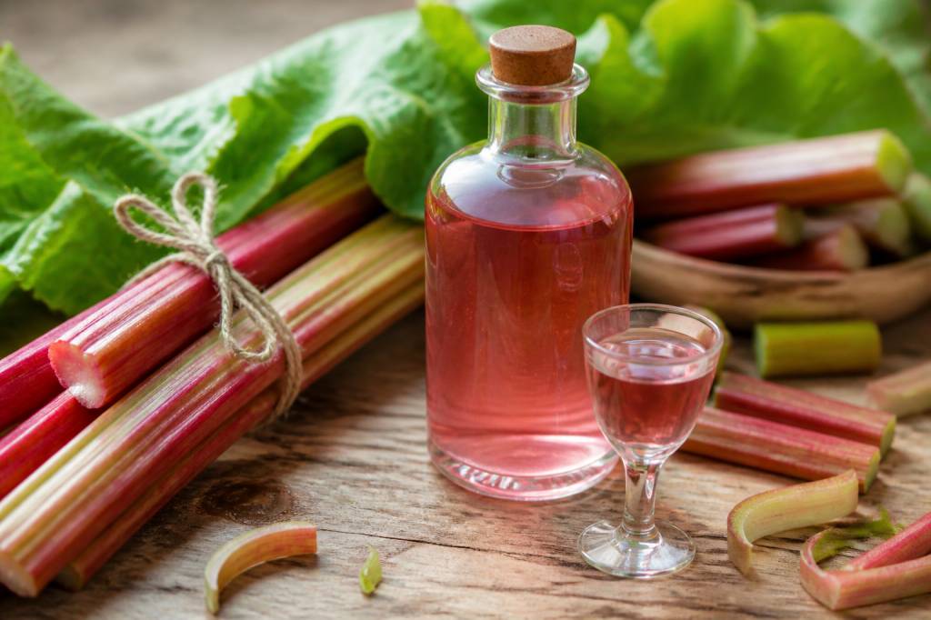 Alcool de rhubarbe : tout savoir sur cet ingrédient original pour cocktails et liqueurs