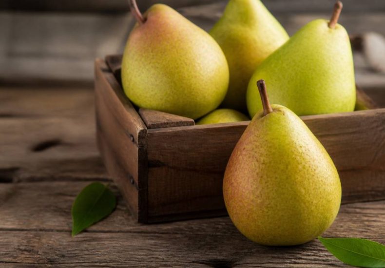 Williams pear : tout savoir sur cette poire de distillation