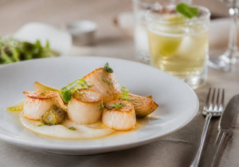 Accompagnement coquilles saint-jacques : les meilleurs accords mets et cocktails