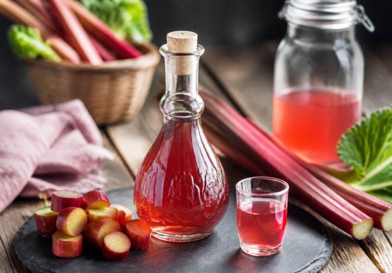 Liqueur de rhubarbe recette maison : ingrédients, étapes et conseils